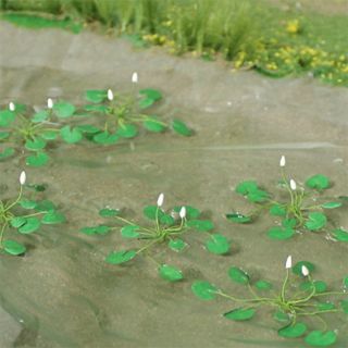 Water Lillies
