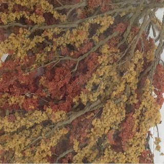 Wire Foliage Branches