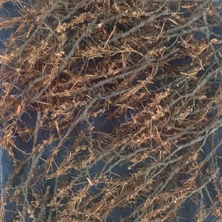 Wire Foliage Branches