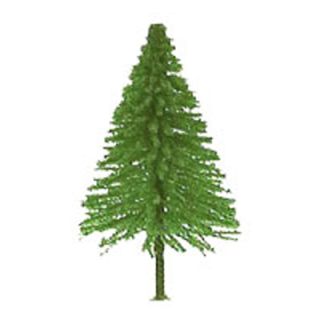 Fir