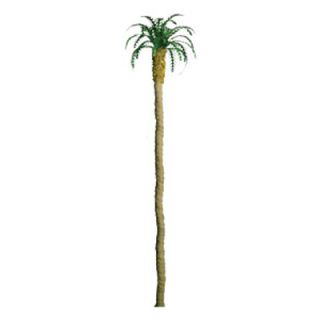 Palm